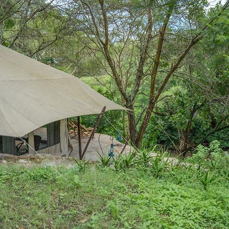 Dolly Farm & River Camp, Luxury Tents Usa River Luaran gambar