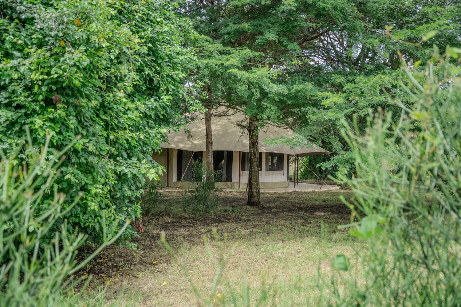 Dolly Farm & River Camp, Luxury Tents Usa River Luaran gambar