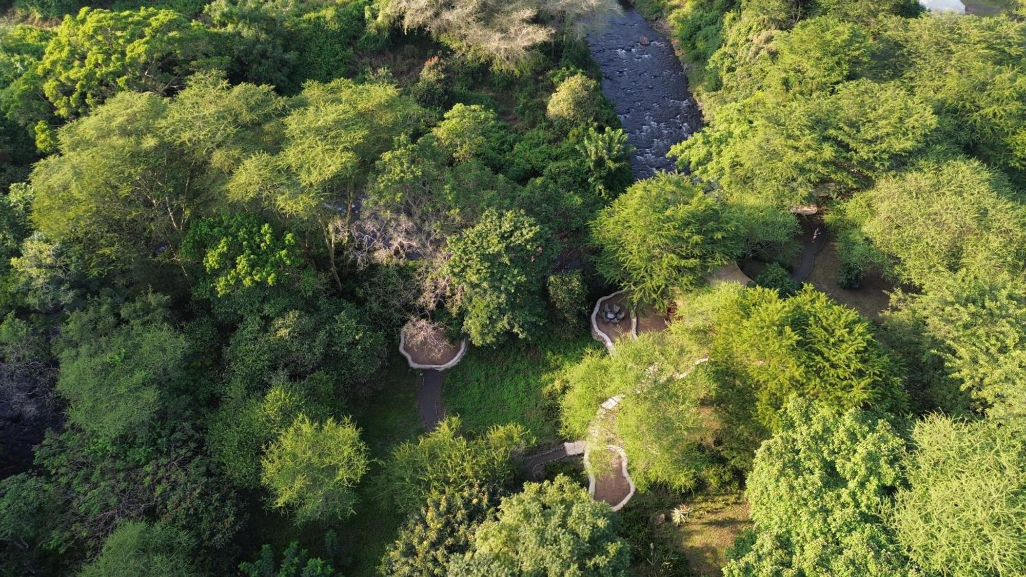 Dolly Farm & River Camp, Luxury Tents Usa River Luaran gambar